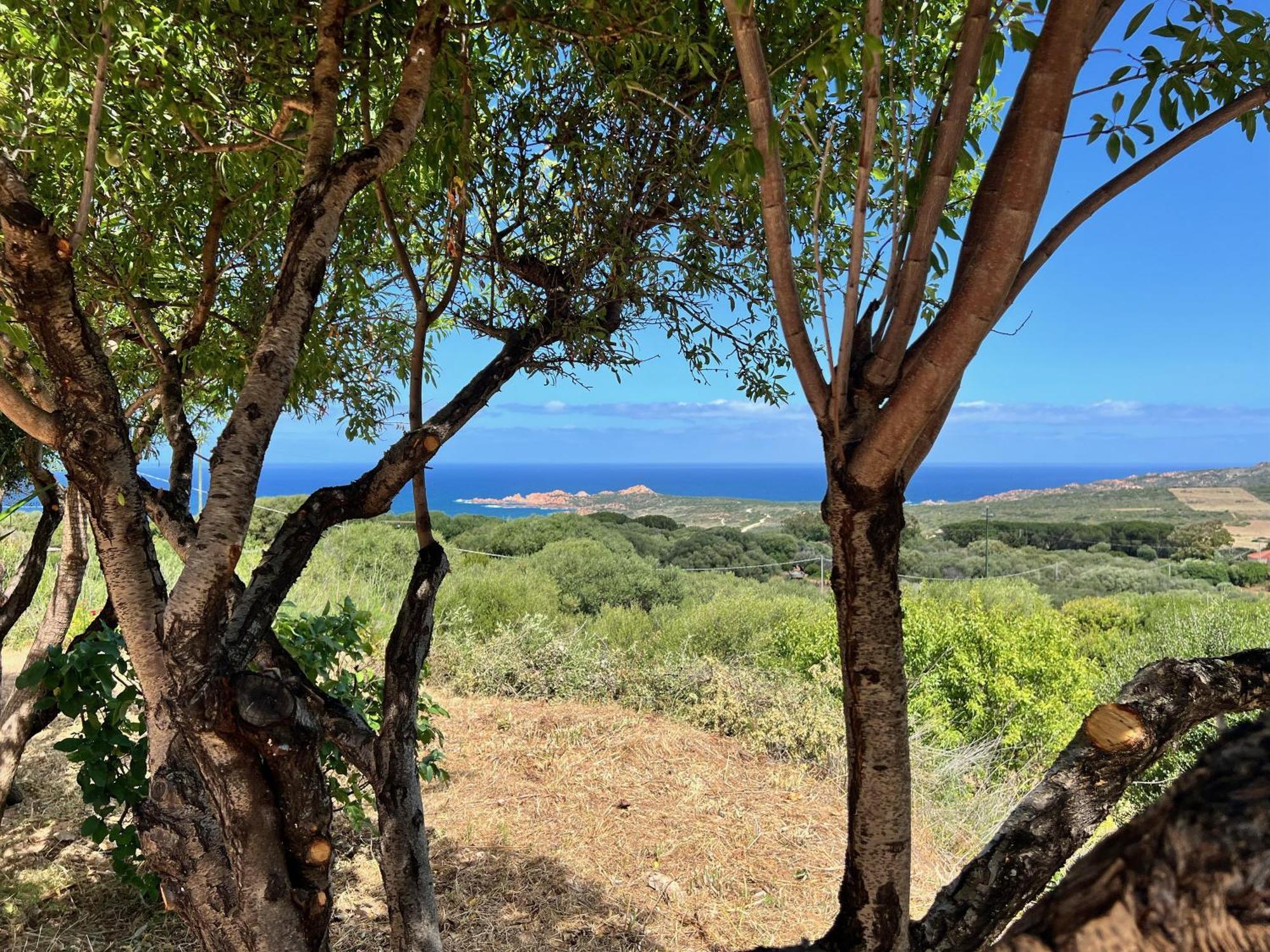 Appartamento Panoramico Isola Rossa Exterior foto